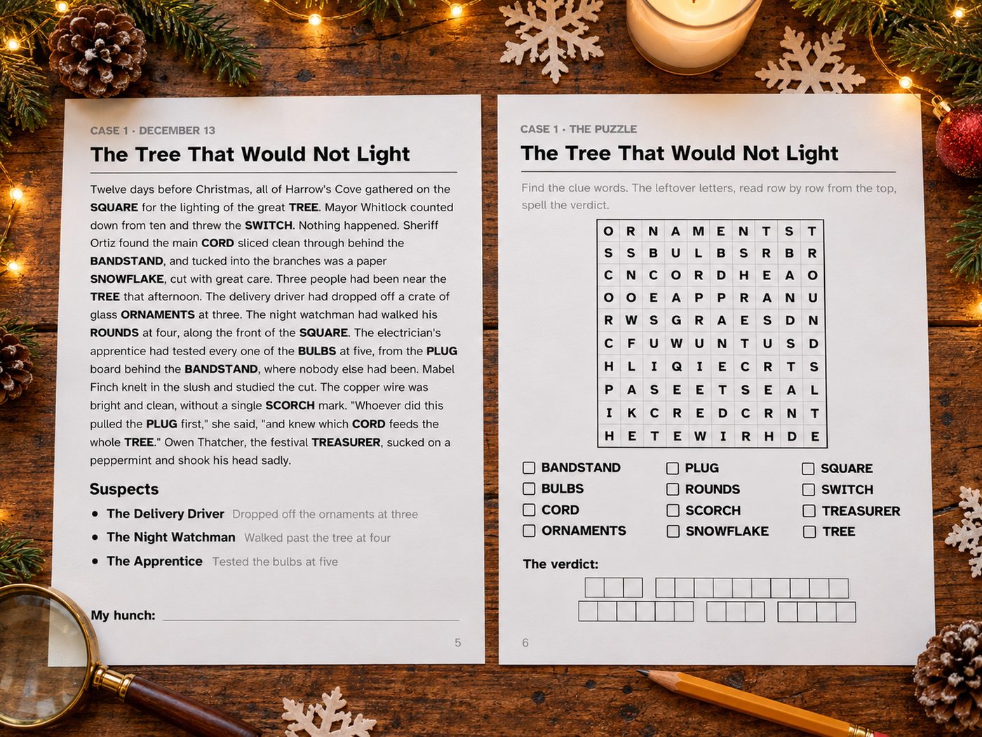 Show picture 3: A case file and its word search, side by side